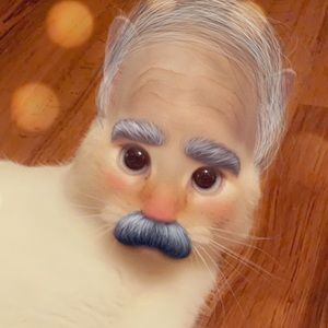 Meet your Posher, Morgan